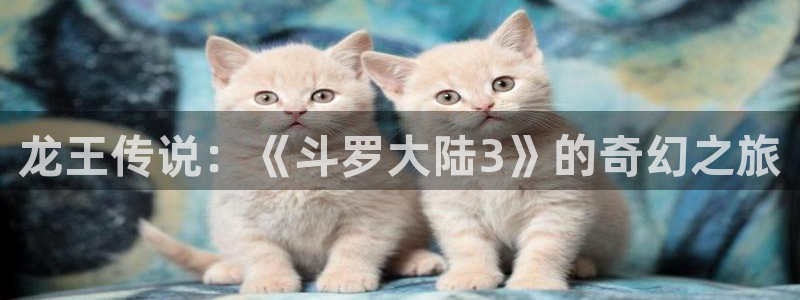 51漫画网页版入口