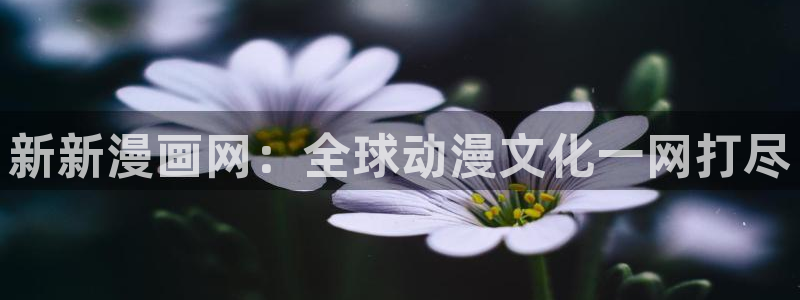 51漫画破解版下载